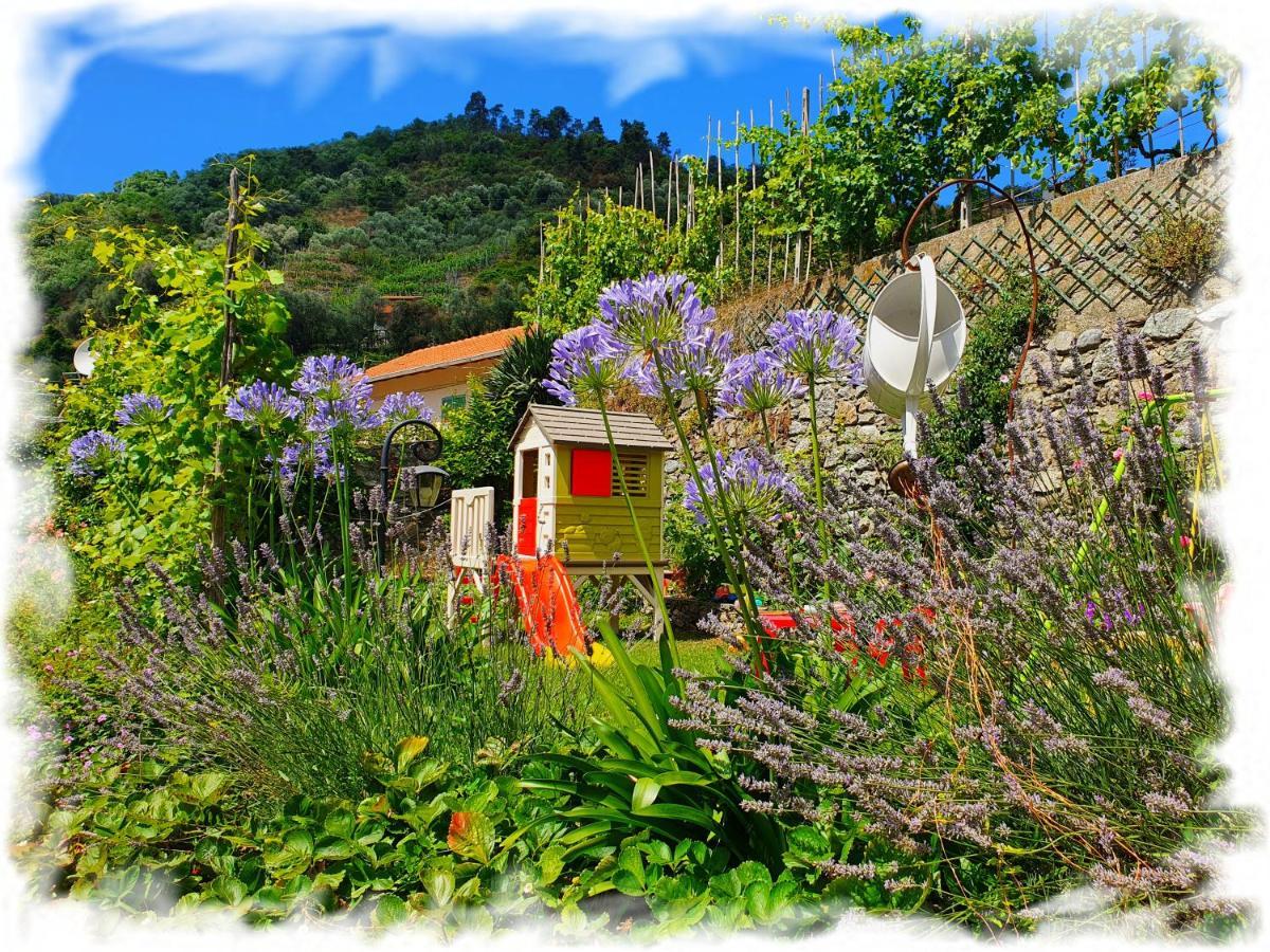 אלביסולה סופריורה Casa Vacanze Family מראה חיצוני תמונה