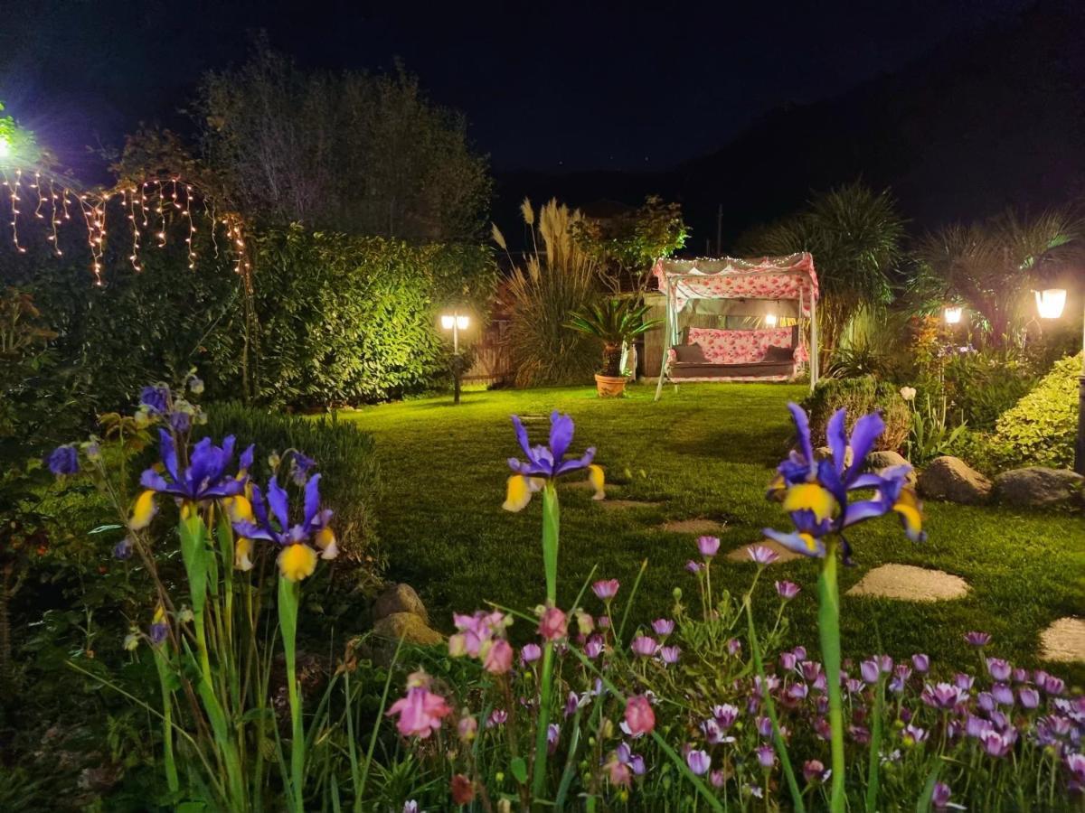 אלביסולה סופריורה Casa Vacanze Family מראה חיצוני תמונה