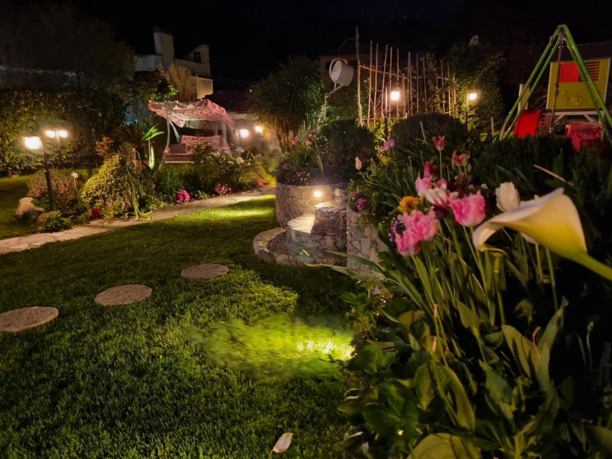 אלביסולה סופריורה Casa Vacanze Family מראה חיצוני תמונה